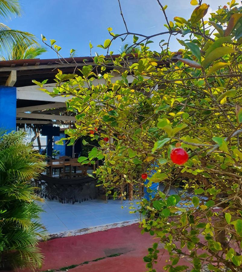 Casarão do Pontal Coruripe Exterior foto